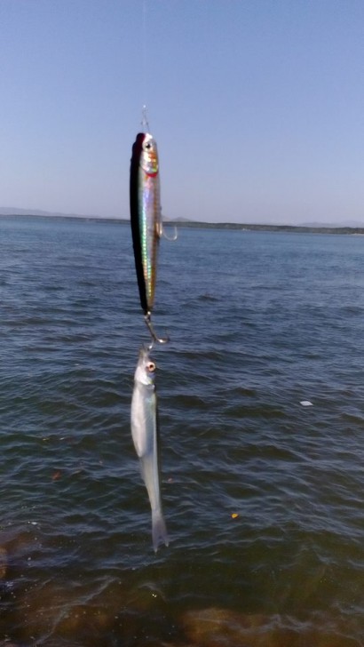 Puntarenas-fishing.jpg