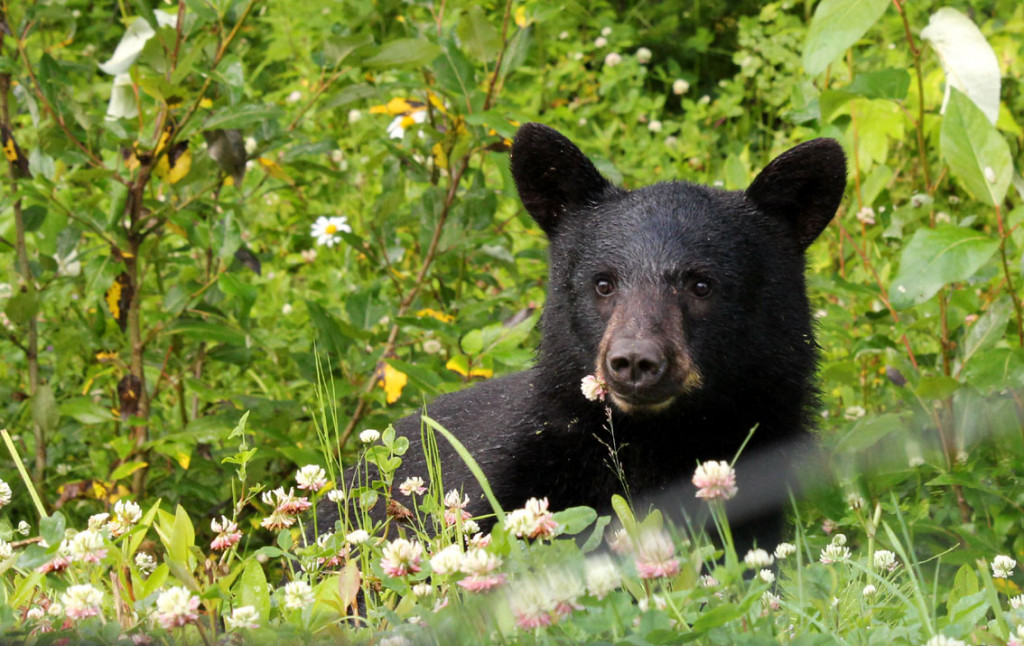 2020_Yukon_63.jpg