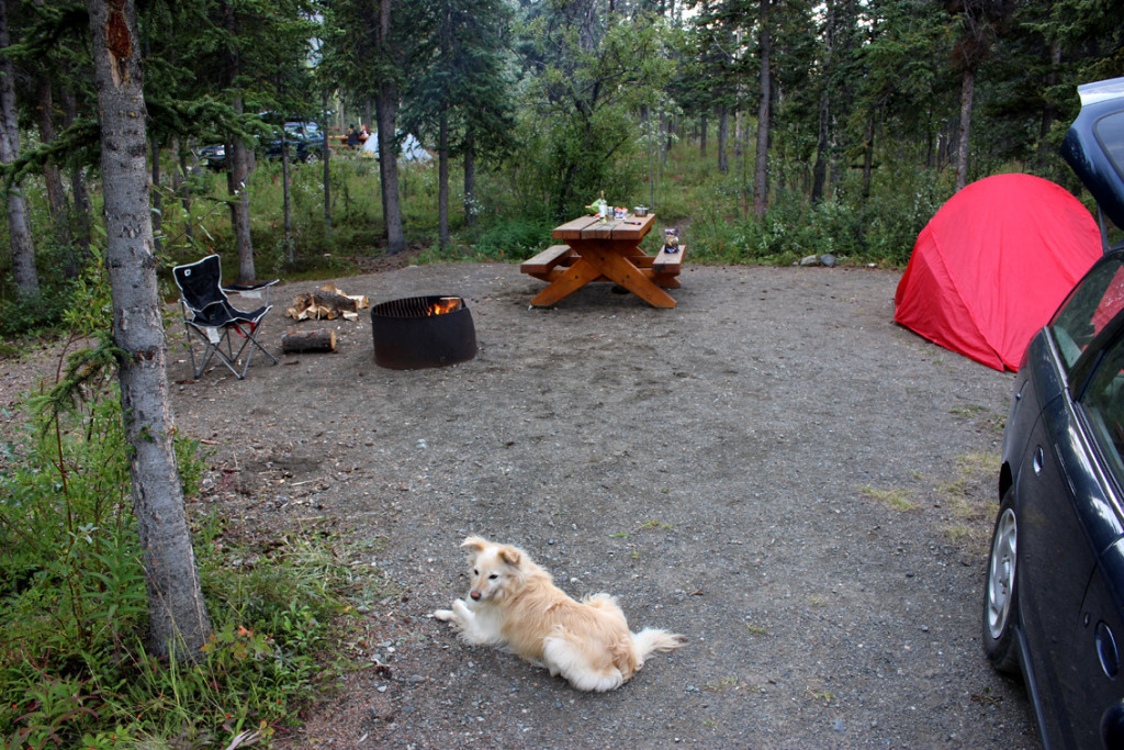 2021_Carcross_05.jpg