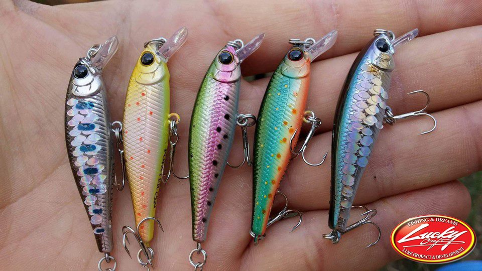 Flash Yamame, Brown Trout, Brook Trout, Laser Rainbow, MS American