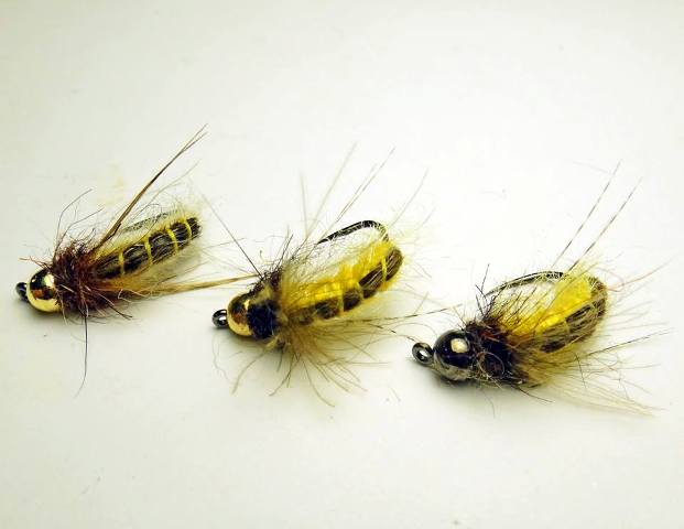 Pupa-kedisa-web1.jpg