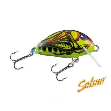 salmo-tiny-grh-450x450.jpg