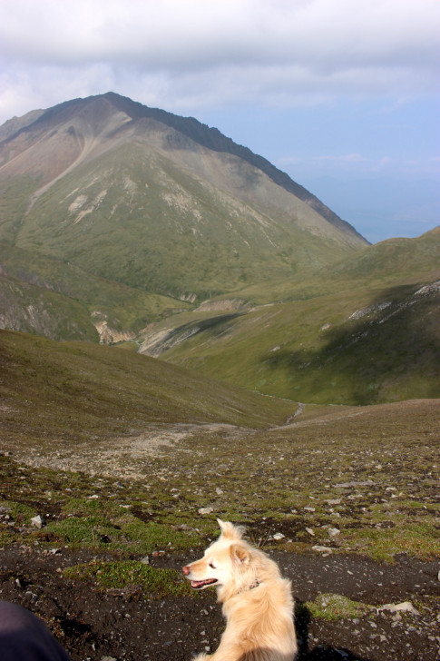 Kluane_10.jpg