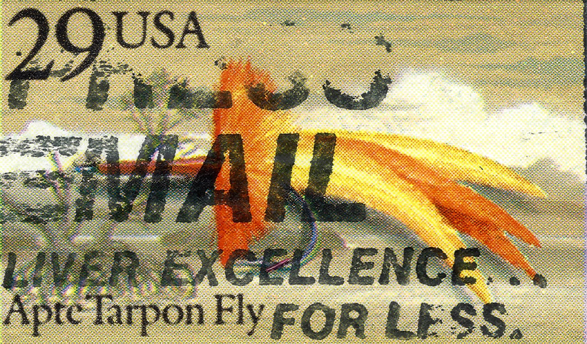 USA-FLY-04.jpg