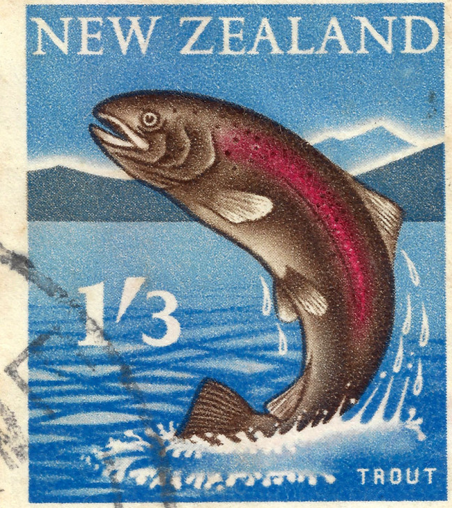 NZ-TROUT-1965.jpg