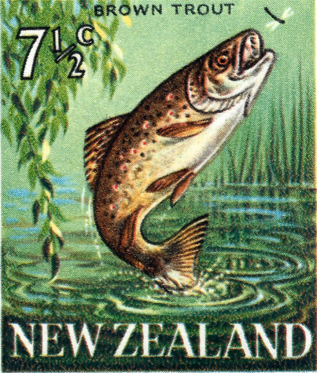 NZ-TROUT-1967.jpg