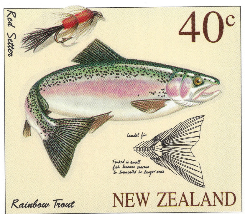 NZ-TROUT-1997-01.jpg