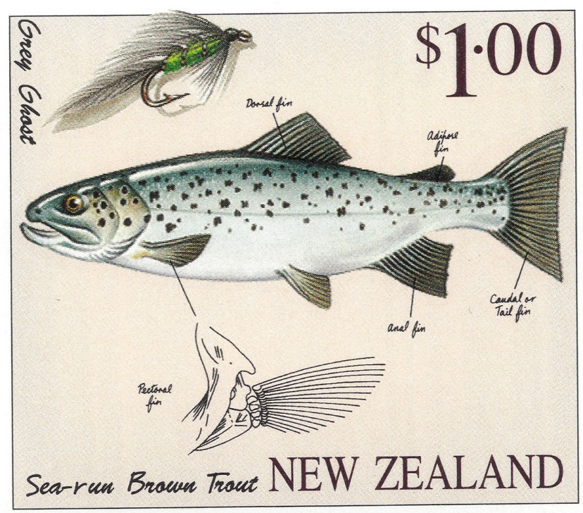 NZ-TROUT-1997-02.jpg