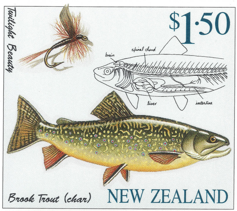 NZ-TROUT-1997-03.jpg