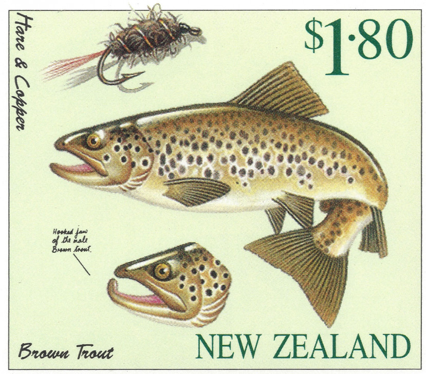 NZ-TROUT-1997-04.jpg