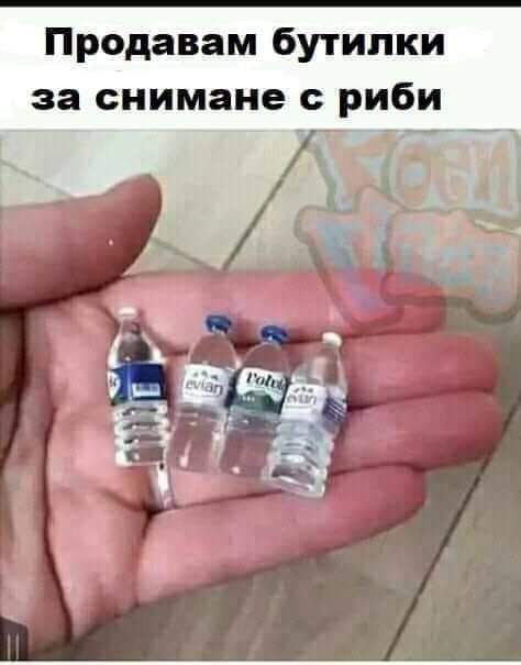 bottles.png