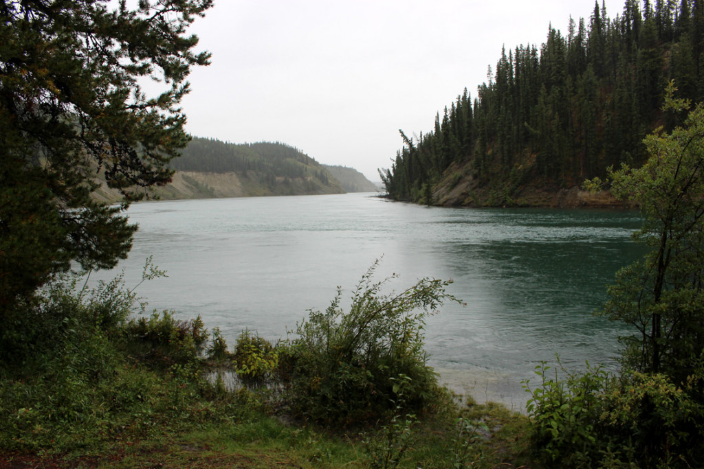 2021_Whitehorse_04.jpg