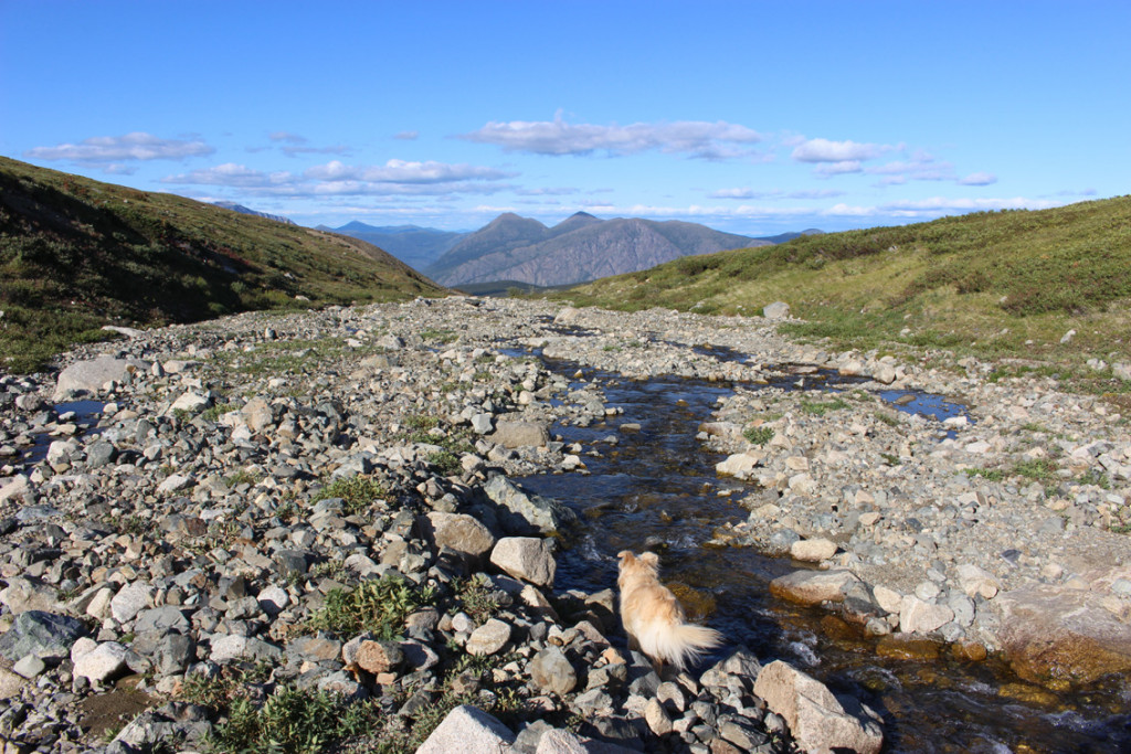 2021_Carcross_17.jpg