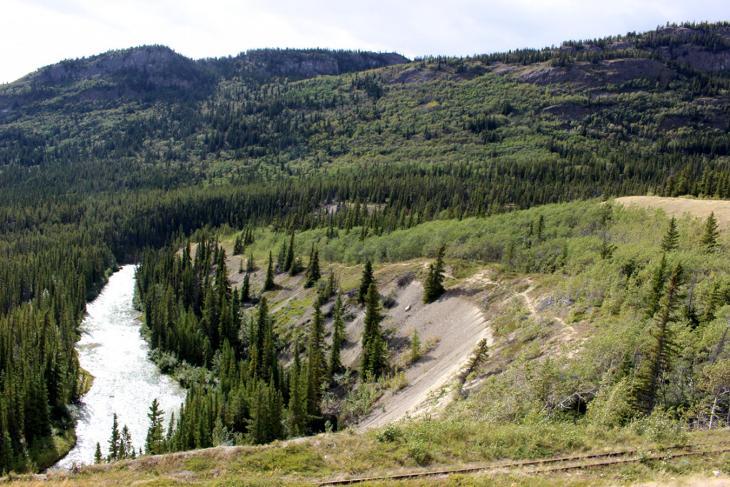 2021_Whitehorse_19.jpg