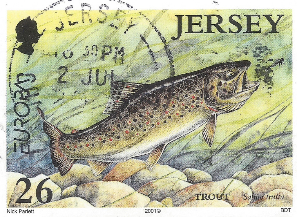 JerseyTrout.jpg