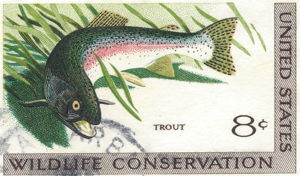 USA-Trout.jpg