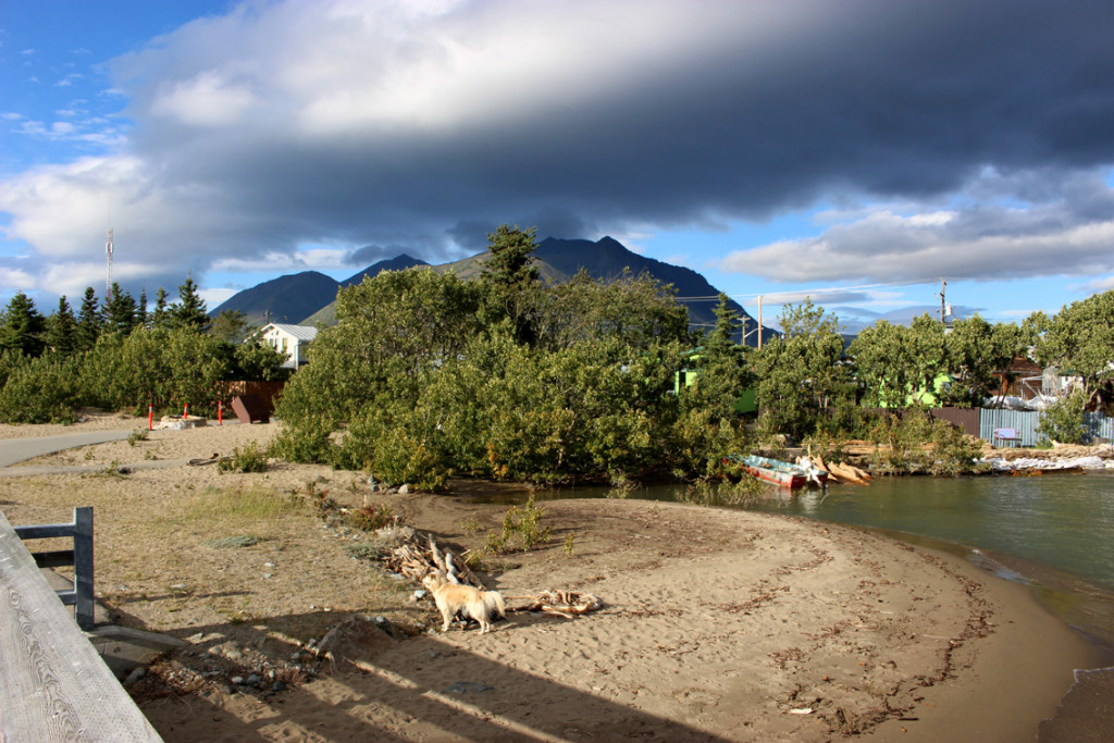 2021_Carcross_22.jpg