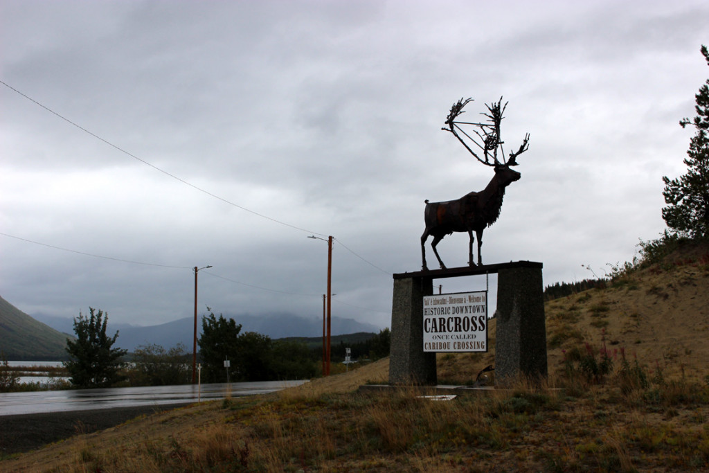 2021_Carcross_29.jpg