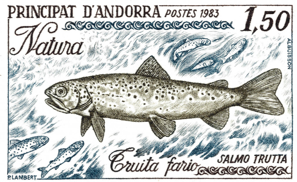 Andorra-Trout-small.jpg